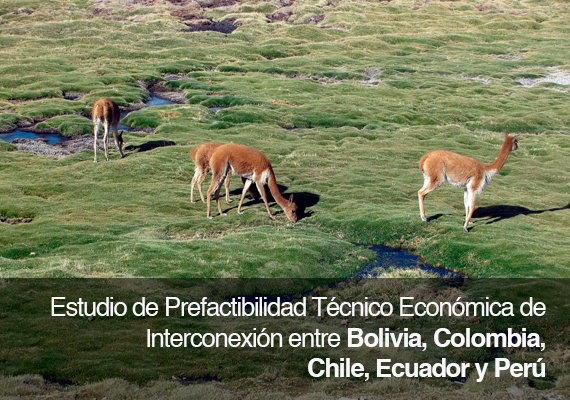 Estudio desarrollado por KAS Ingeniería, Sigla y AF Mercados para el Ministerio de Hidrocarburos y Energía de Bolivia